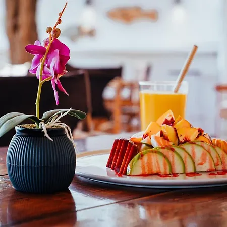 Coralli Seaside 2* Livadakia